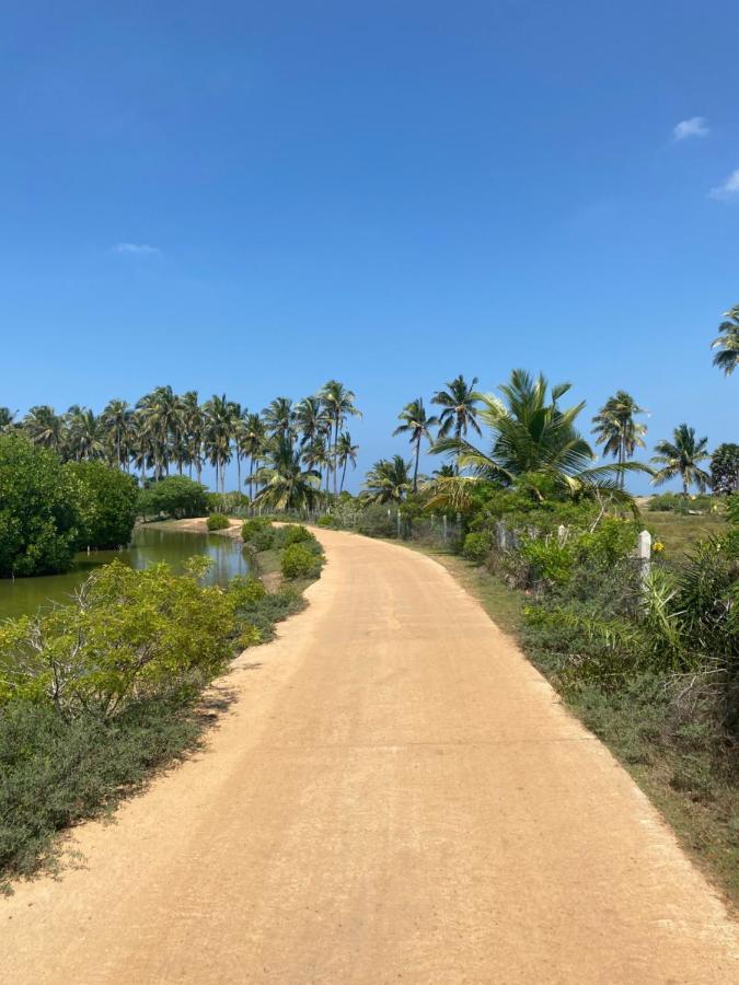 Sea Sand Resort Kalpitiya Eksteriør bilde