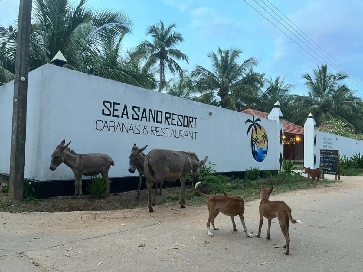 Sea Sand Resort Kalpitiya Eksteriør bilde