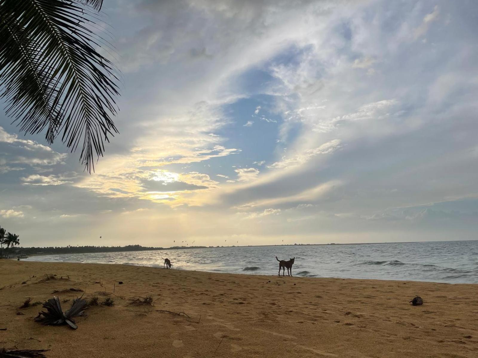 Sea Sand Resort Kalpitiya Eksteriør bilde
